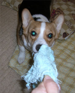 �M�������S